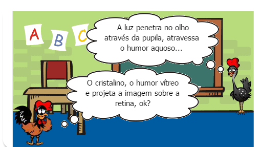 Os Cinco Sentidos do Ser Humano