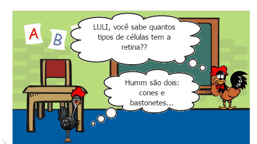Os Cinco Sentidos do Ser Humano