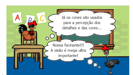 Os Cinco Sentidos do Ser Humano
