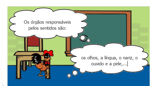 Os Cinco Sentidos do Ser Humano