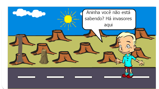 REFLORESTAMENTO