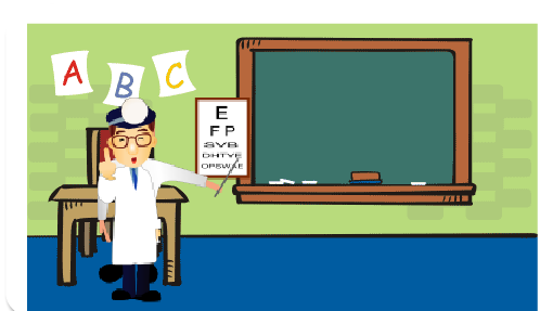 Existem diferentes tipos musculares e portanto, diferentes fibras musculares. Essas diferem-se tanto morfologicamente (lisas e estriadas) como funcionalmente de acordo com metabolismo energético (lentas, intermediárias e rápidas) e com a parte do corpo onde estão (esqueleto, vísceras e coração).