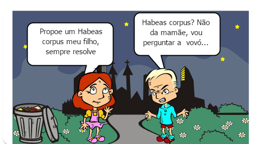 Remédio Constitucional (MANDADO DE INJUNÇÃO)