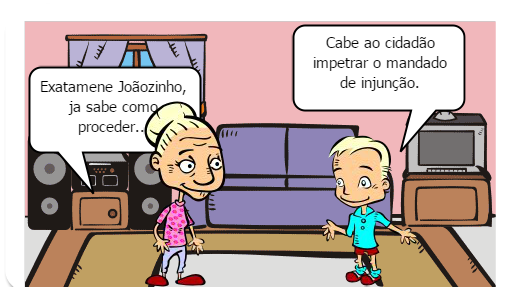 Remédio Constituci onal (MANDADO DE INJUNÇÃO )