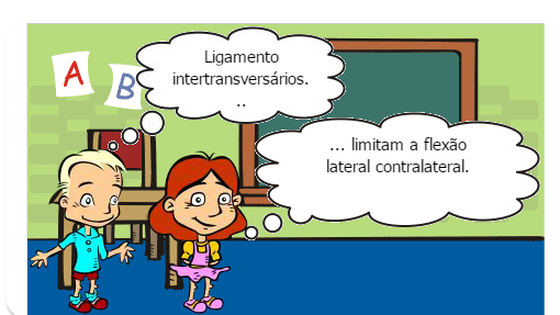 coluna