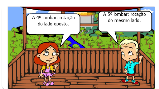 Cinesiologia e Biomecânica da coluna vertebral :) 3