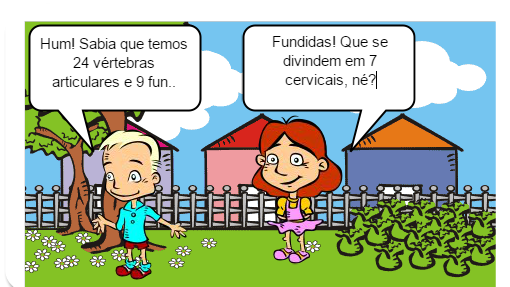Coluna 