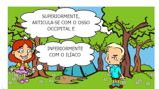 VAMOS APRENDER UM POUCO SOBRE A CINESIOLOGIA E BIOMECÂNICA DA COLUNA?