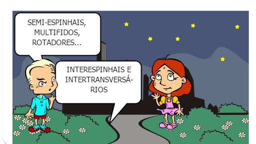 VAMOS APRENDER UM POUCO SOBRE A CINESIOLOGIA E BIOMECÂNICA DA COLUNA?