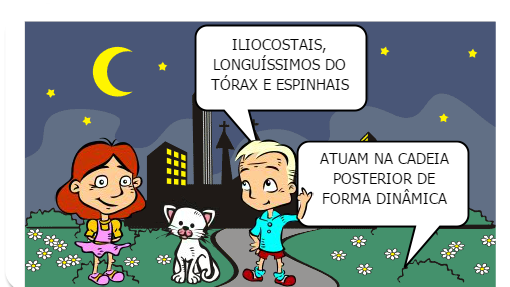 VAMOS APRENDER UM POUCO SOBRE A CINESIOLOGIA E BIOMECÂNICA DA COLUNA?