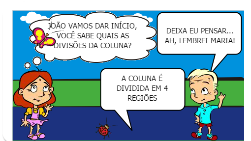 VAMOS APRENDER UM POUCO SOBRE A CINESIOLOGIA E BIOMECÂNICA DA COLUNA?