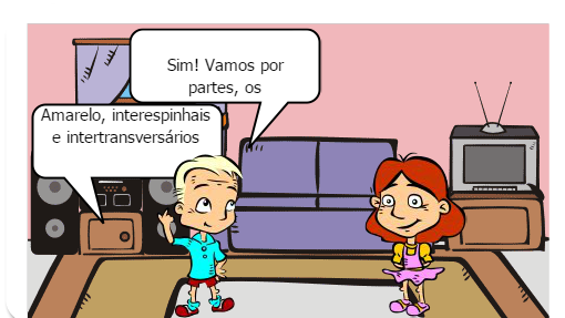 Cinesiolog ia e Biomecâni ca da Coluna Vertebral