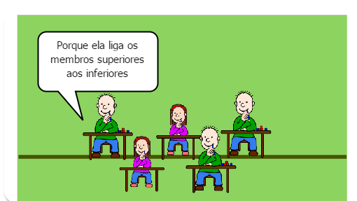 Aula Sobre a Coluna Vertebral