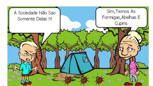 Sociedade Dos Insetos