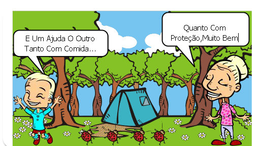 Sociedade Dos Insetos
