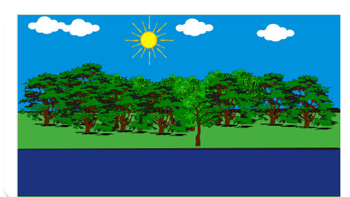 Transformação de uma cidade 