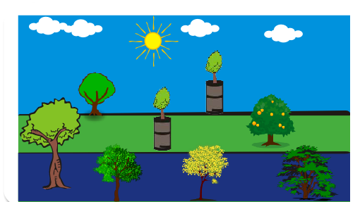 Dali para frente eles foram limpar o local e plantar arvores  e todos então aprenderam a ter uma ambiente limpo e com um ar novo.