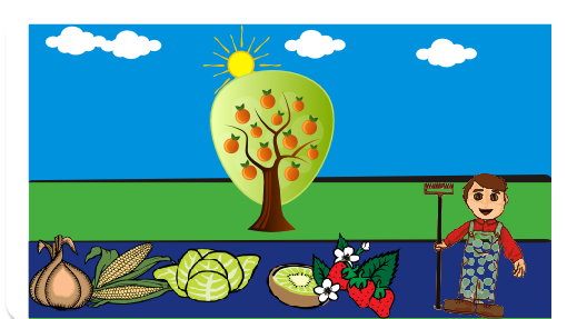 Quando chegou lá não tinha nada, só tinha verduras caídas no chão.