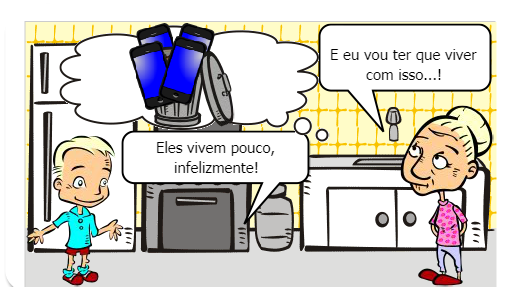 Meu  novo velho amigo