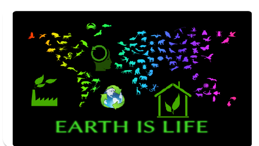 preservação ambiental e sociedade de consumo.