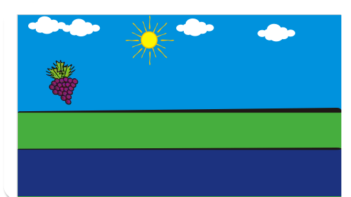 Sustentabilidade na Escola