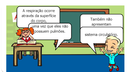 Invertebra dos B.