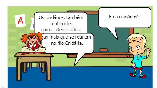 Invertebra dos B.