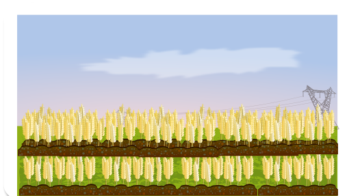 O abastecimento das cidades e o papel do pequeno e médio produtor do campo 