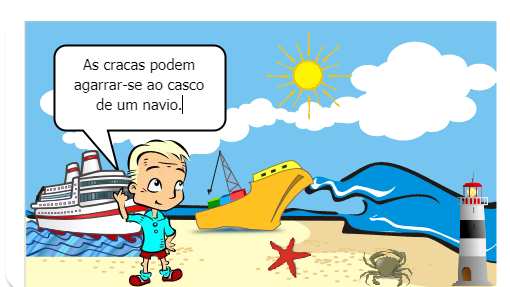 Animal artrópode, da classe dos crustáceos, subclasse dos cirrípedes, a craca faz parte de um grupo que abriga mais de mil espécies. Na fase livre, as cracas aderem à superfície que escolhem e aí vão se desenvolvendo e cobrindo-se de sais calcários, que vão formar sua carapaça. Agarram-se tanto às rochas, paredes, cascos de navio e madeira flutuante quanto  ao corpo de seres vivos marinhos, como algas, moluscos, tartarugas e baleias. Quando estão presas a pedras no nível das marés, abrem a concha debaixo da água, e fecham quando a maré baixa.