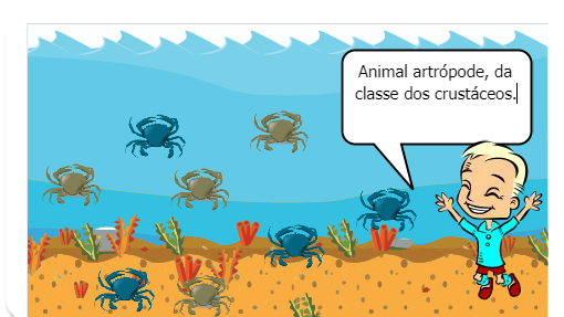 Animal artrópode, da classe dos crustáceos, subclasse dos cirrípedes, a craca faz parte de um grupo que abriga mais de mil espécies. Na fase livre, as cracas aderem à superfície que escolhem e aí vão se desenvolvendo e cobrindo-se de sais calcários, que vão formar sua carapaça. Agarram-se tanto às rochas, paredes, cascos de navio e madeira flutuante quanto  ao corpo de seres vivos marinhos, como algas, moluscos, tartarugas e baleias. Quando estão presas a pedras no nível das marés, abrem a concha debaixo da água, e fecham quando a maré baixa.