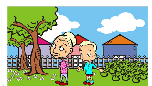 almanaque de la sociedad